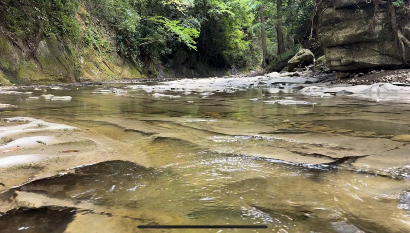 透明度抜群の川