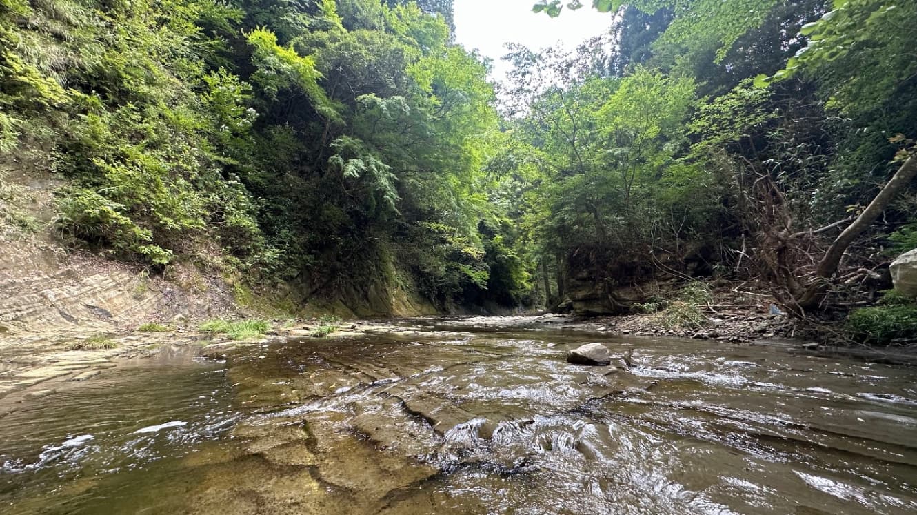 透明度抜群の川2